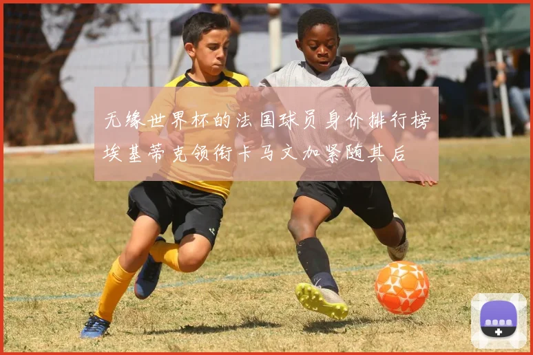 无缘世界杯的法国球员身价排行榜埃基蒂克领衔卡马文加紧随其后